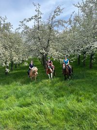 Die M&auml;dels in der Apfelbl&uuml;te